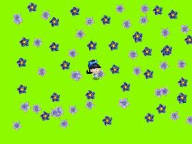 field of flowers