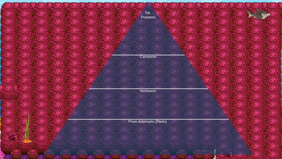 Ocean Ecological Pyramid