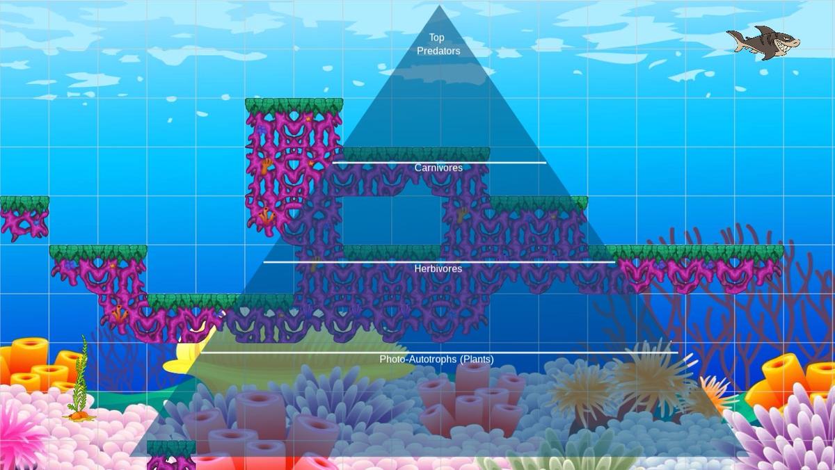 Ocean Ecological Pyramid