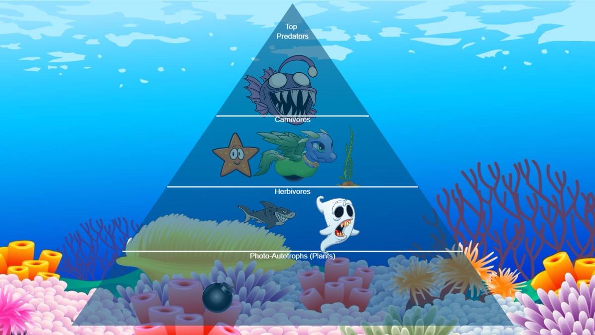 Ocean Ecological Pyramid