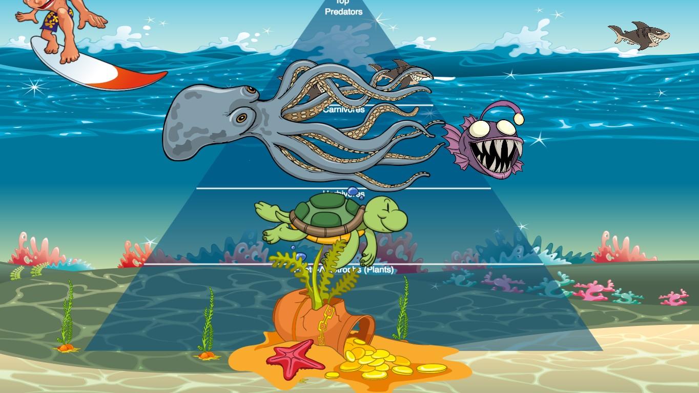 Ocean Ecological Pyramid