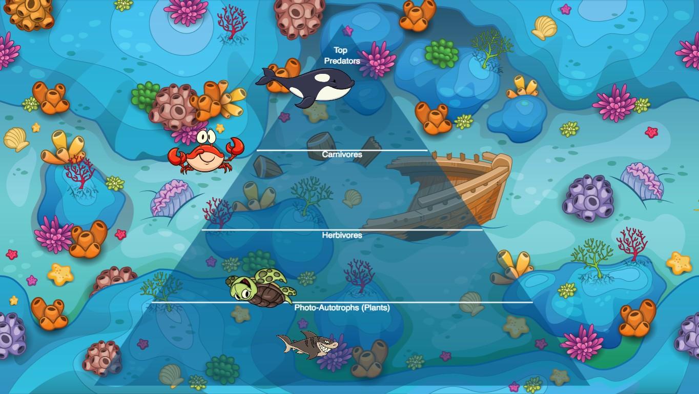 Ocean Ecological Pyramid