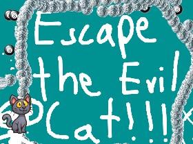 Escape the Evil Cat!!!!!!!!!!!!