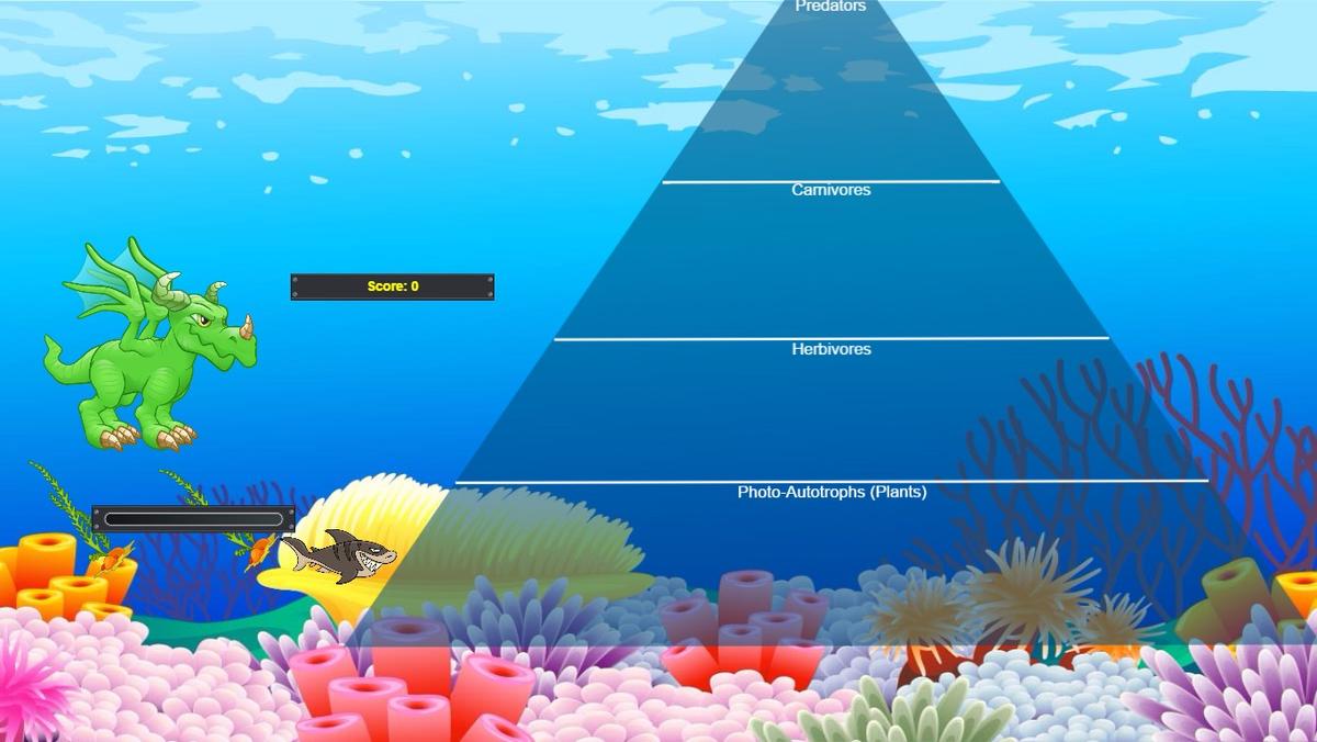 Ocean Ecological Pyramid