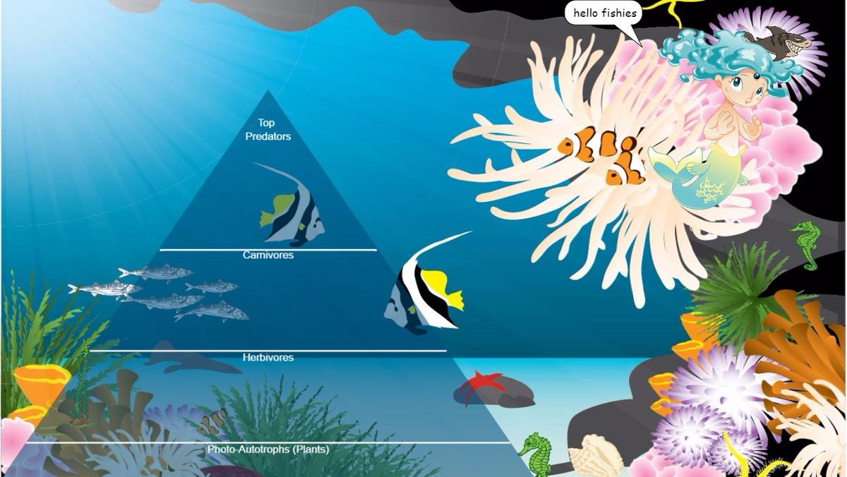 Ocean Ecological Pyramid