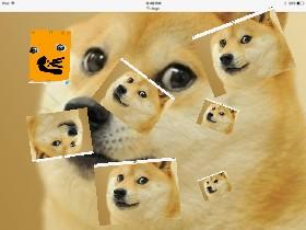 DOGE!!!!