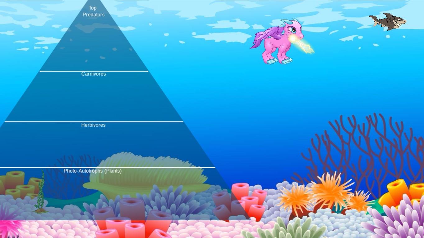 Ocean Ecological Pyramid