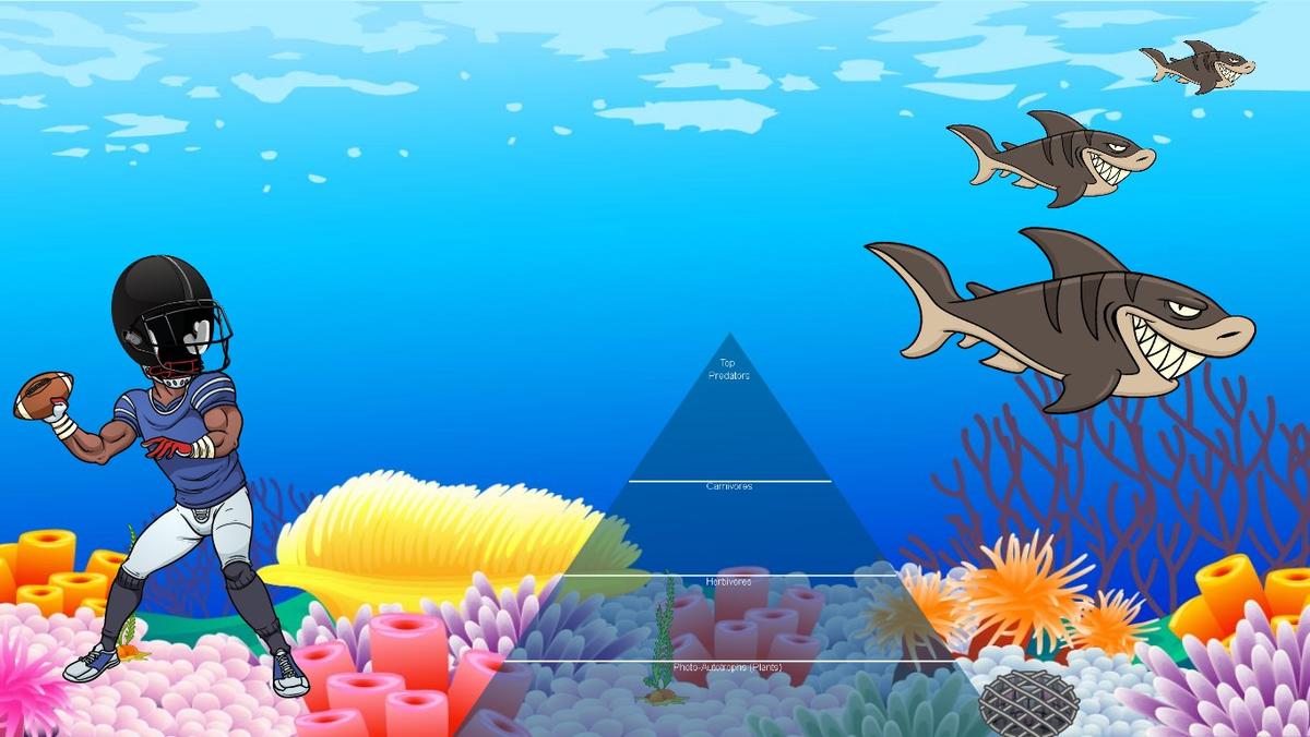 Ocean Ecological Pyramid