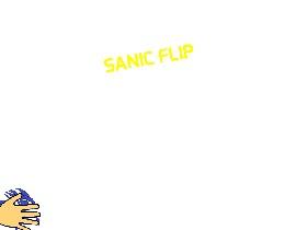 Sanic flip