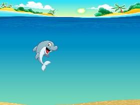 hello dolphin