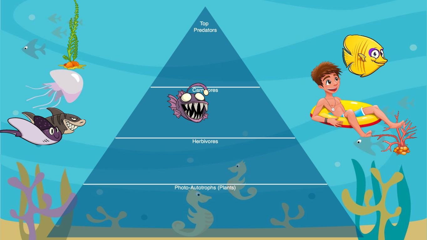 Ocean Ecological Pyramid