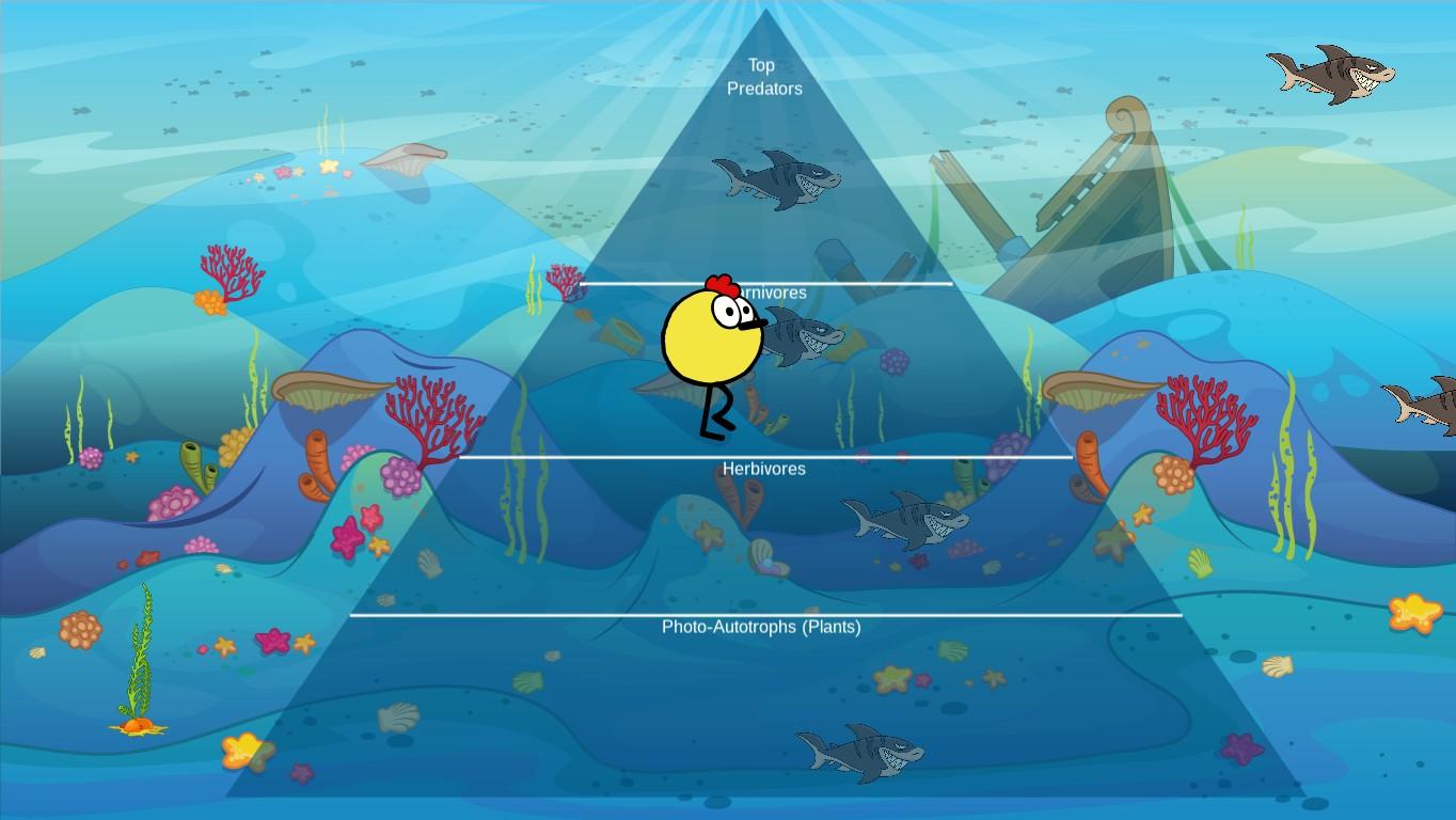 Ocean Ecological Pyramid