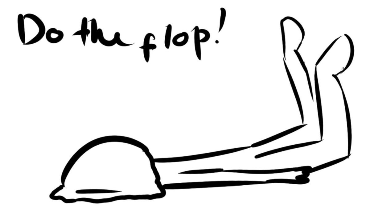 EVERYONE DO THE FLOP