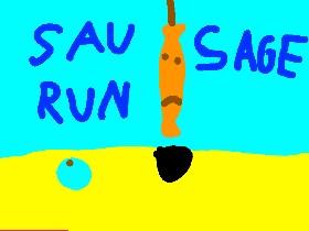 Sau Sage Run!