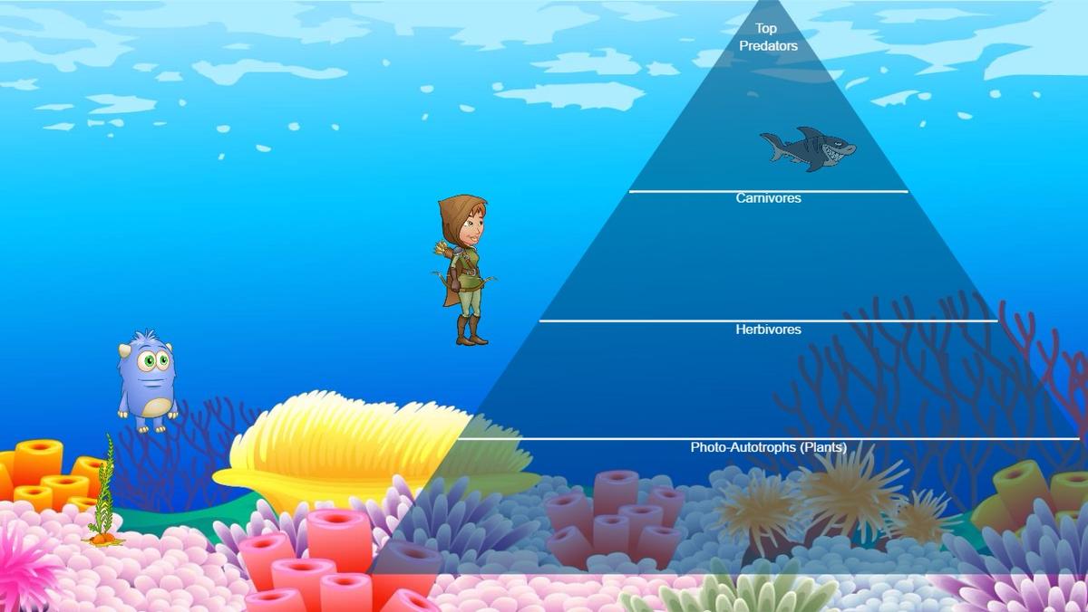 Ocean Ecological Pyramid