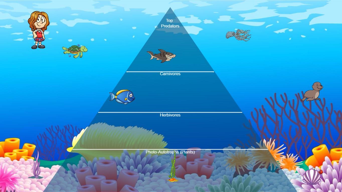 Ocean Ecological Pyramid