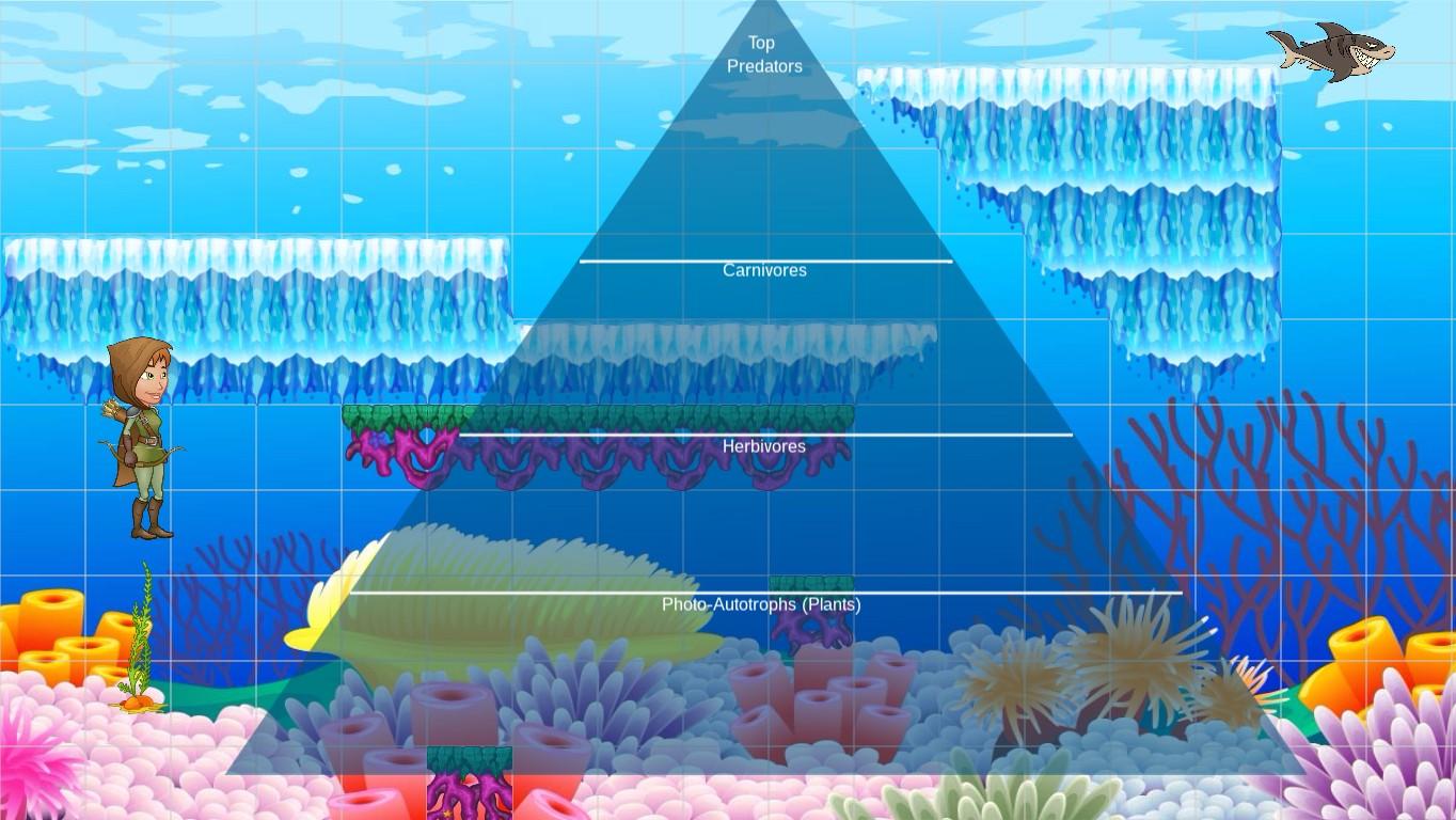 Ocean Ecological Pyramid