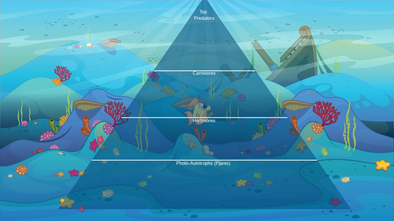 Ocean Ecological Pyramid