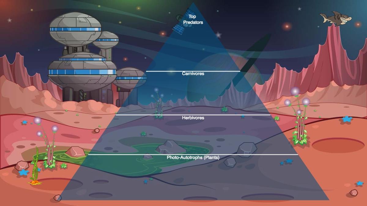 Ocean Ecological Pyramid