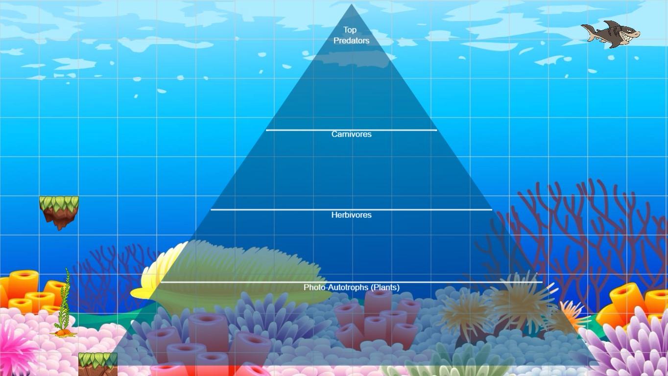 Ocean Ecological Pyramid