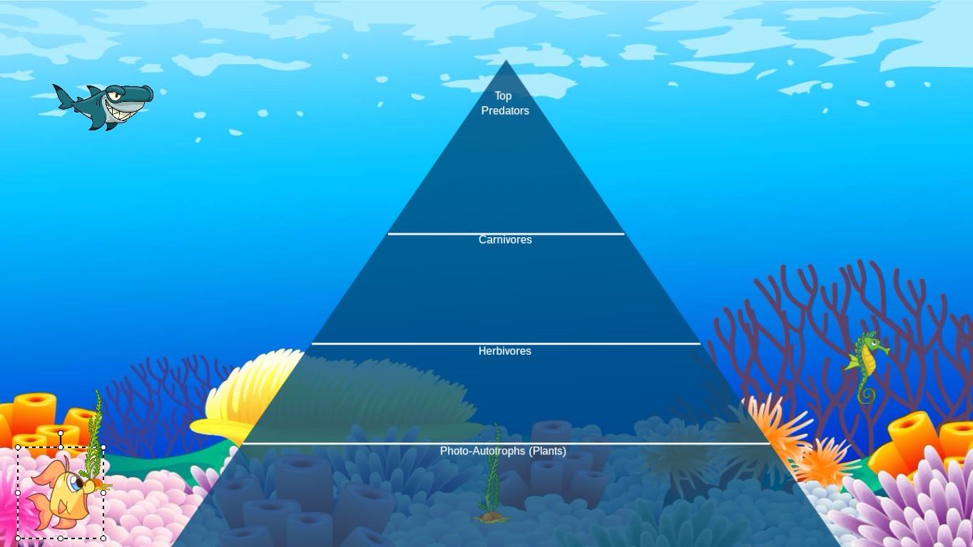 Ocean Ecological Pyramid