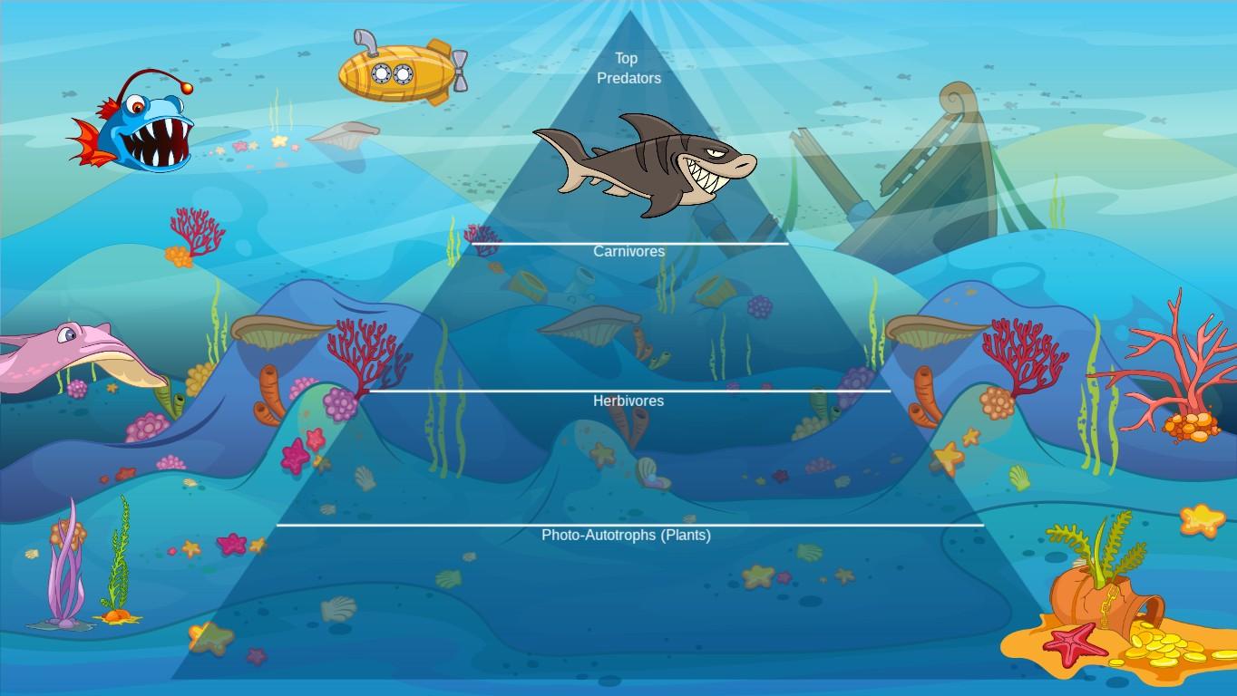 Ocean Ecological Pyramid