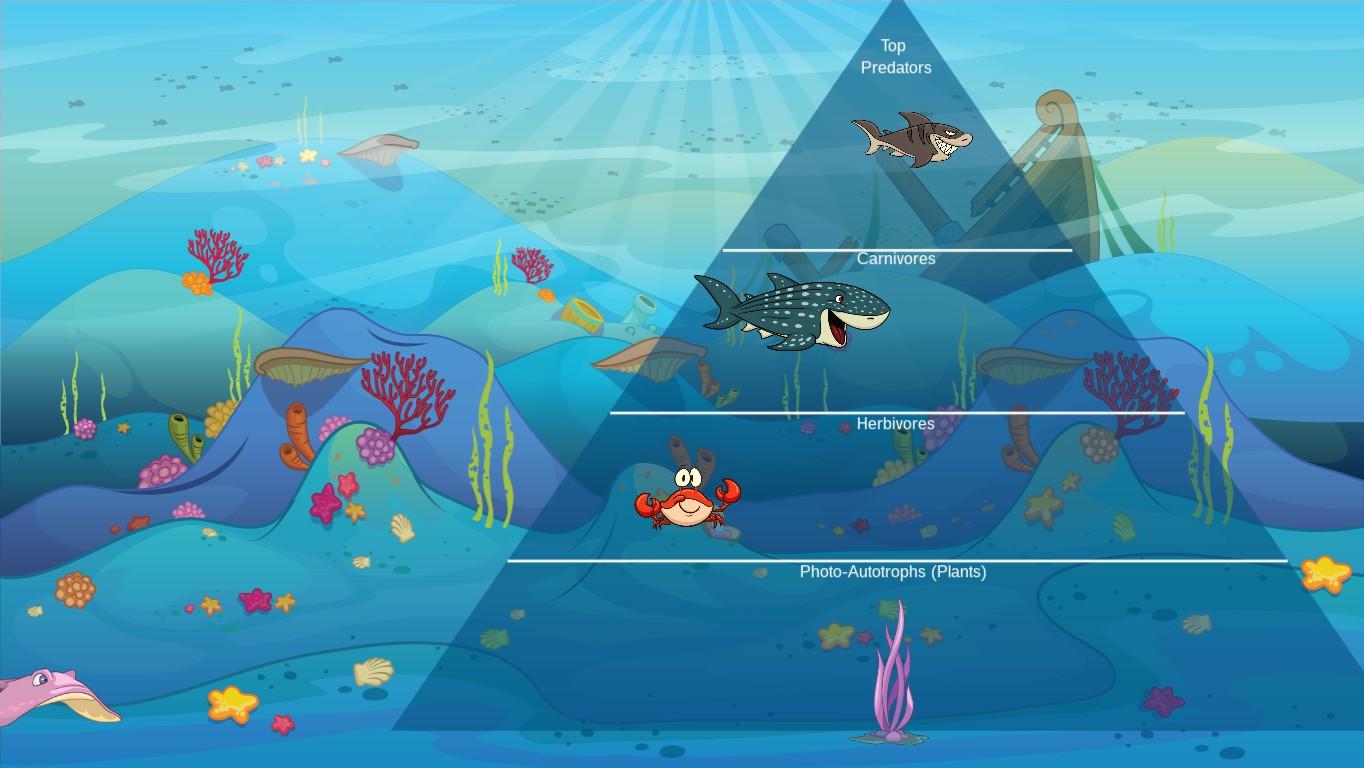 Ocean Ecological Pyramid