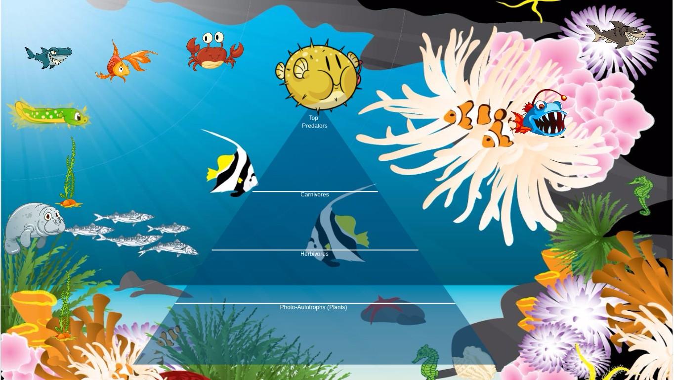 Ocean Ecological Pyramid