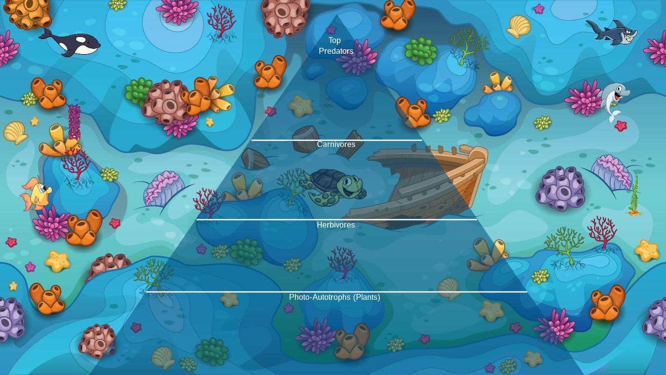 Ocean Ecological Pyramid