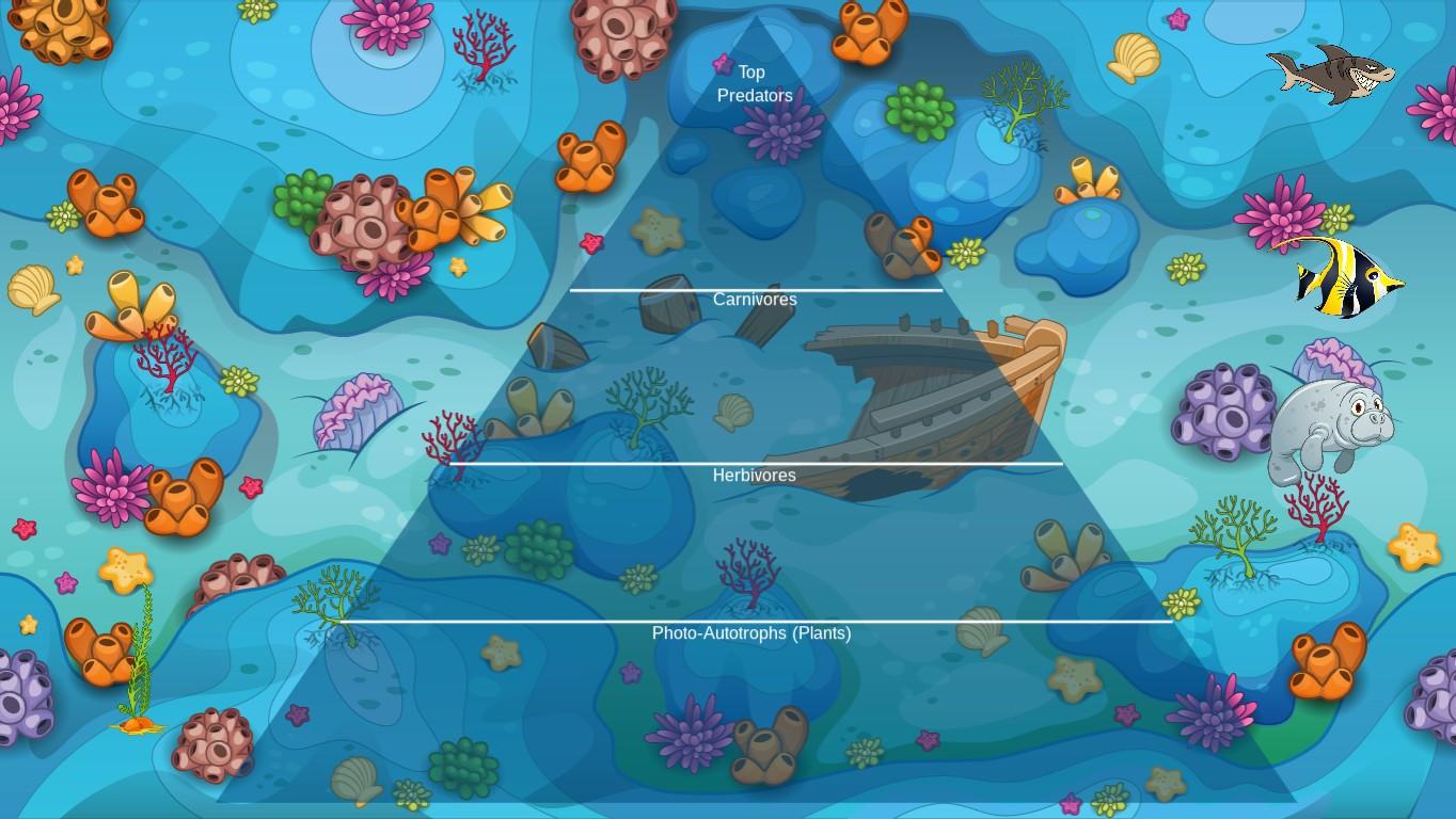 Ocean Ecological Pyramid