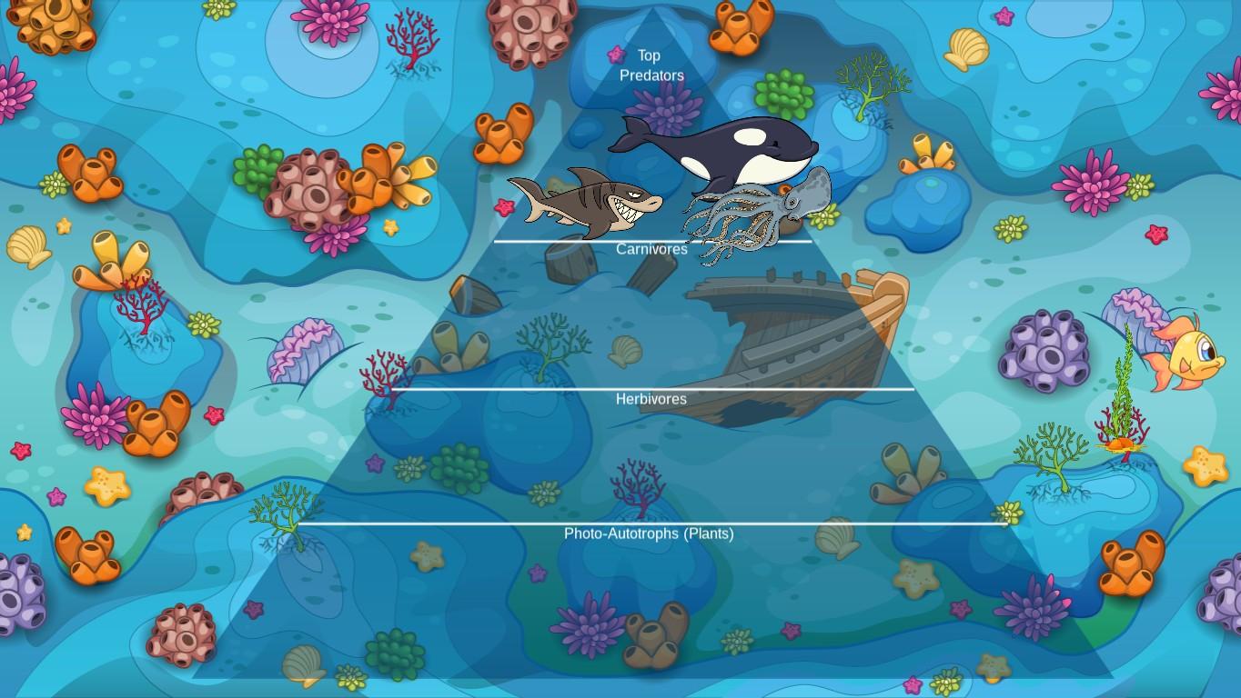 Ocean Ecological Pyramid