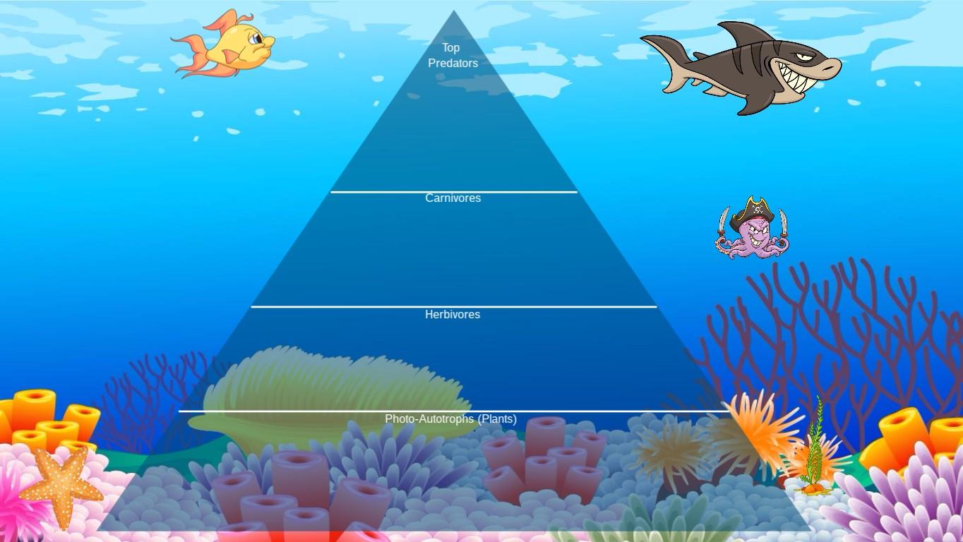 Ocean Ecological Pyramid