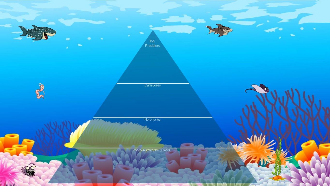 Ocean Ecological Pyramid