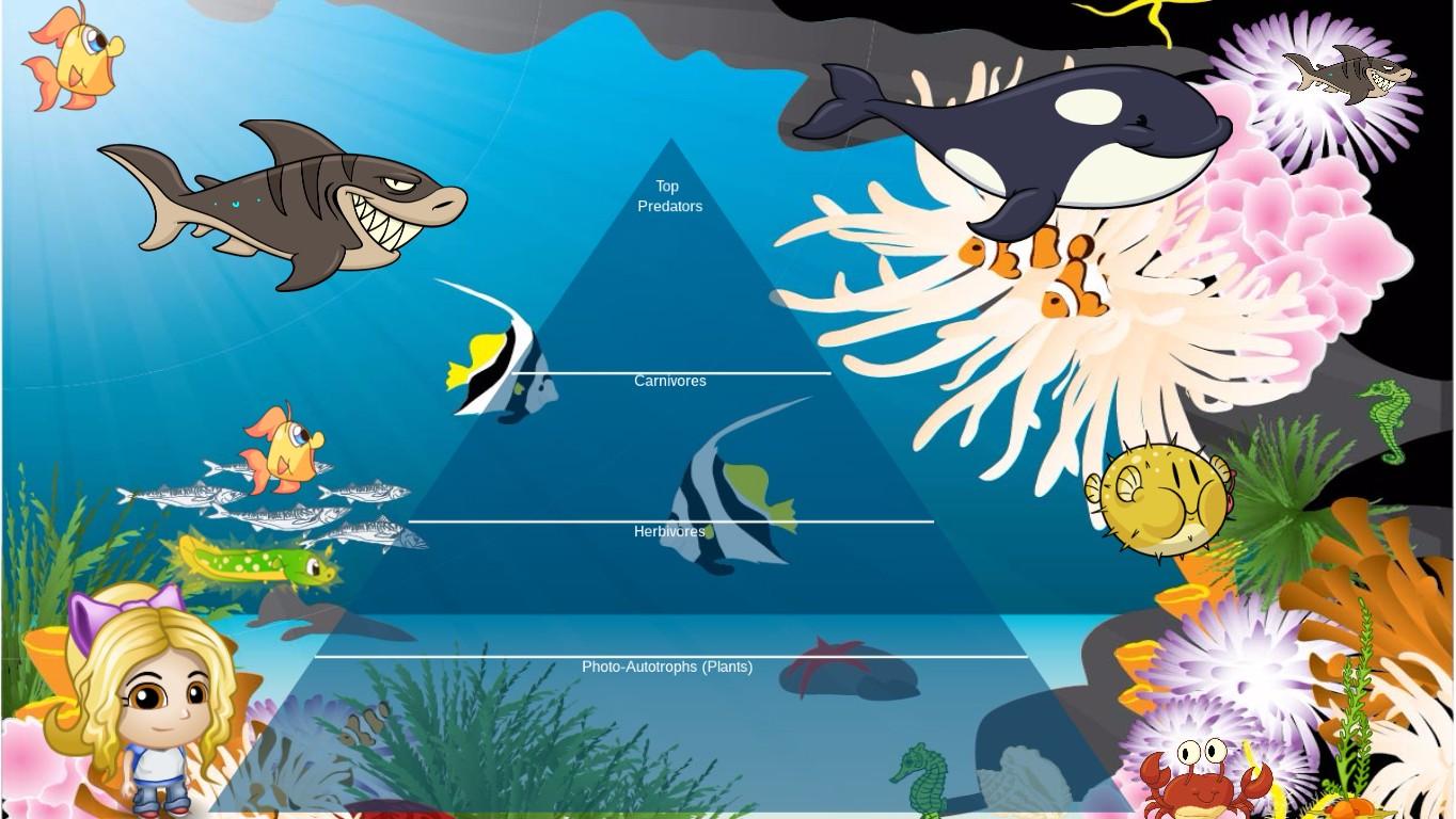 Ocean Ecological Pyramid