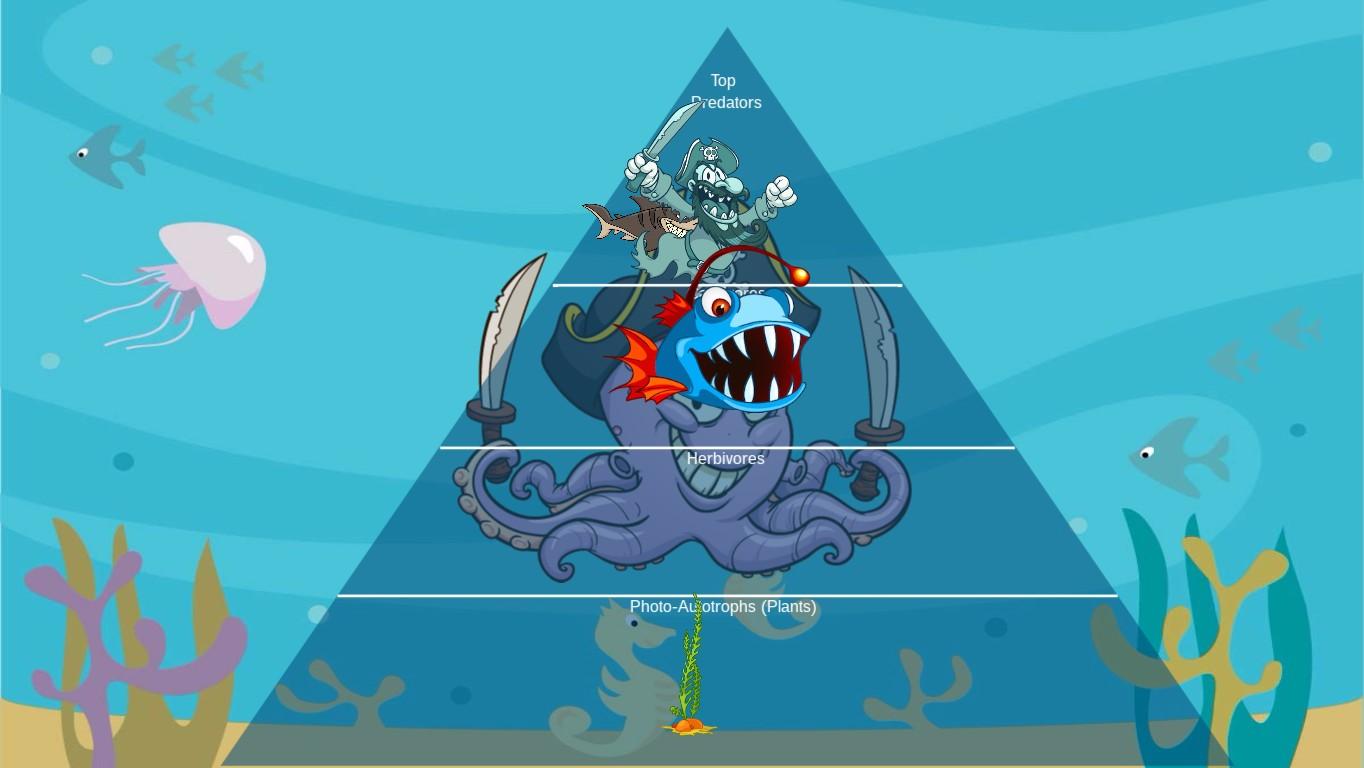 Ocean Ecological Pyramid