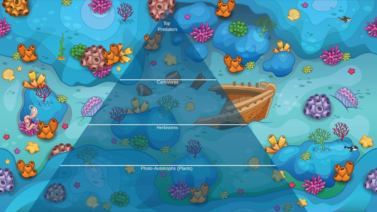 Ocean Ecological Pyramid