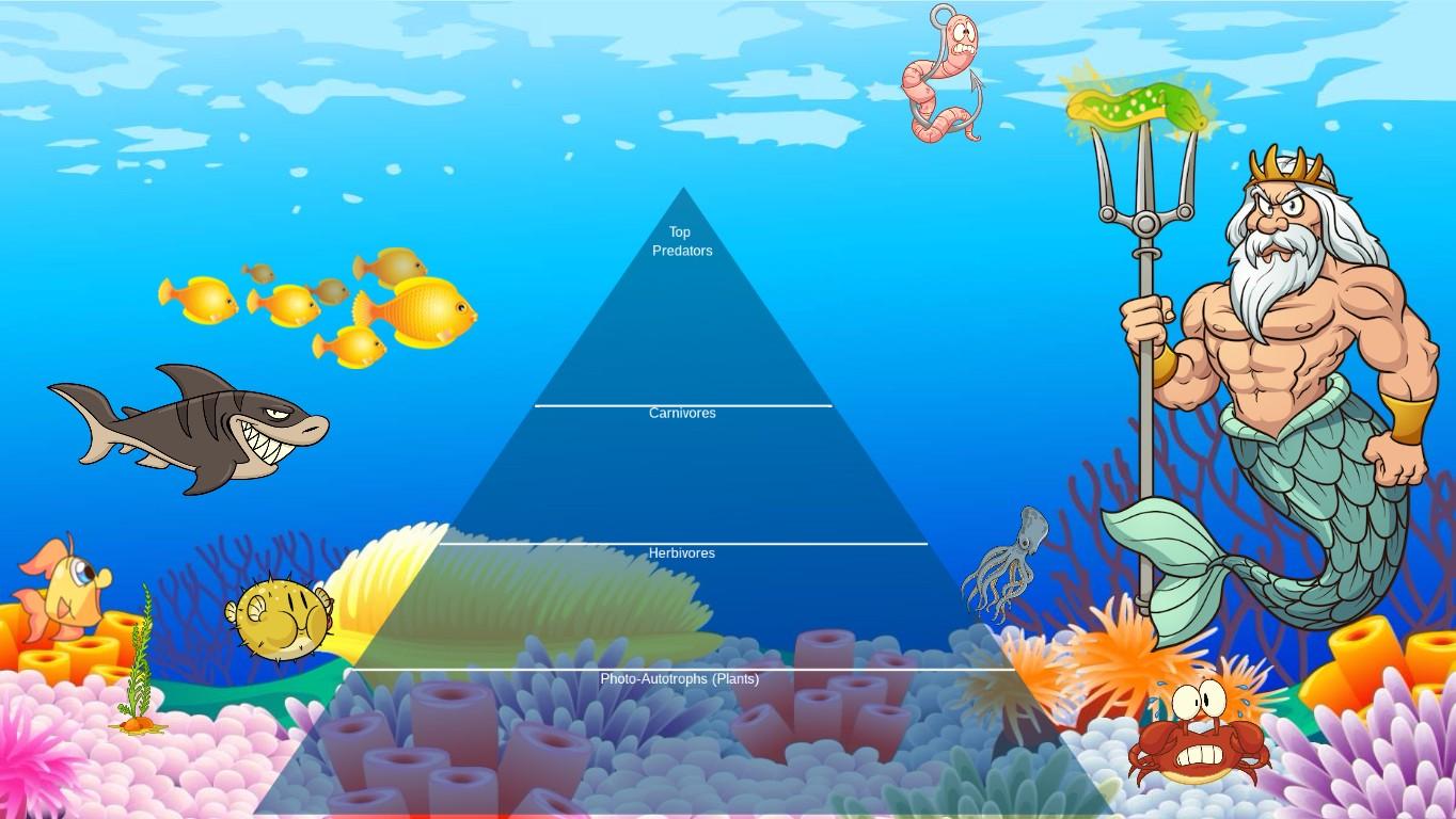 Ocean Ecological Pyramid