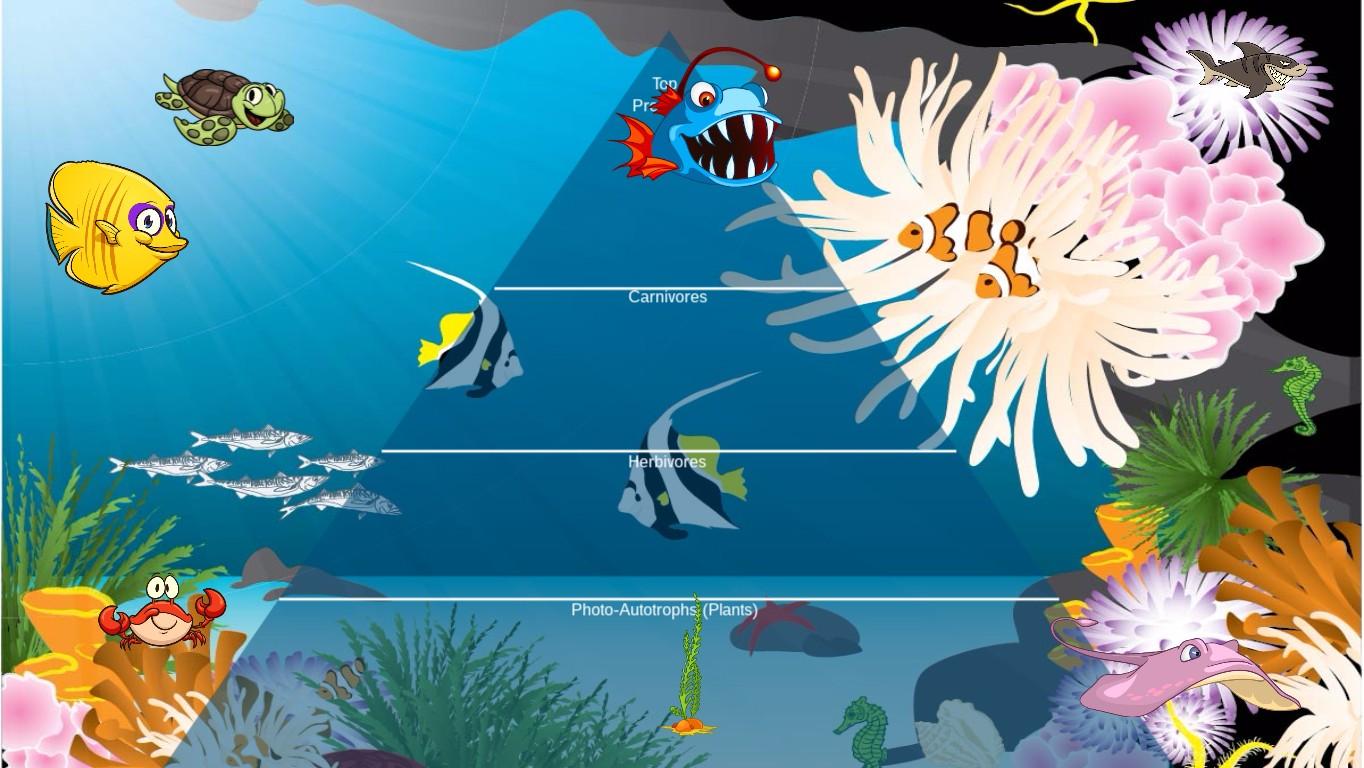 Ocean Ecological Pyramid