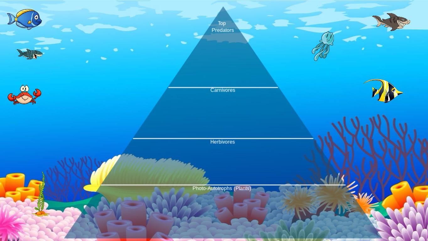 Ocean Ecological Pyramid