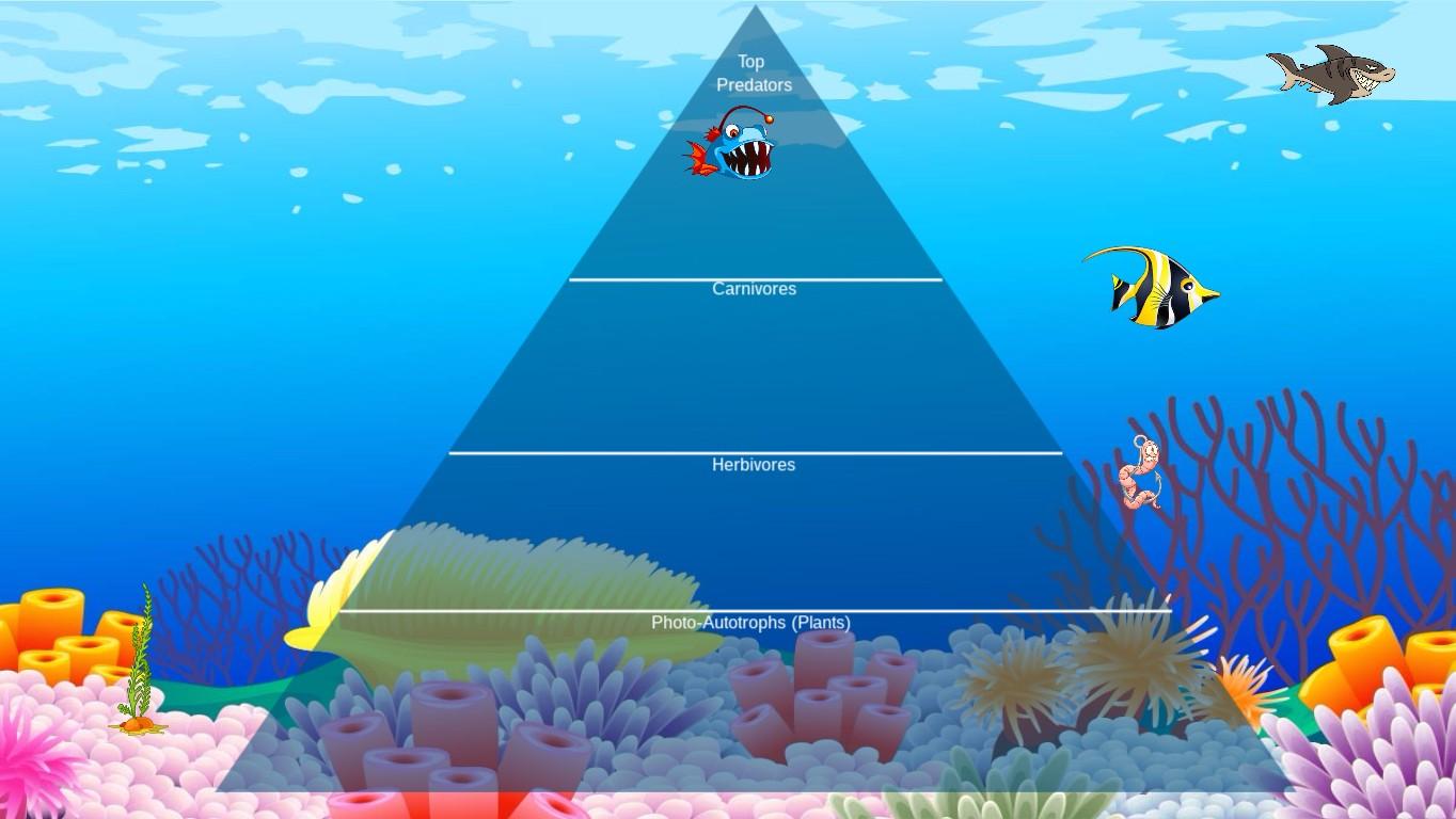 Ocean Ecological Pyramid