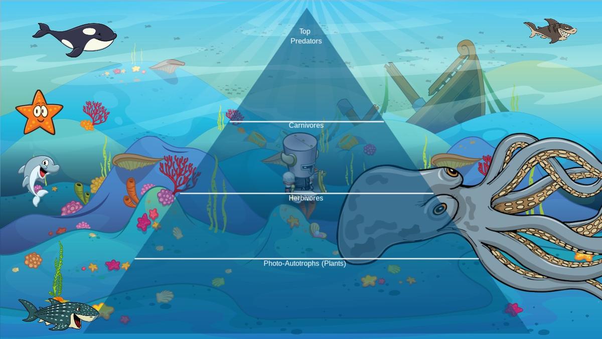 Ocean Ecological Pyramid