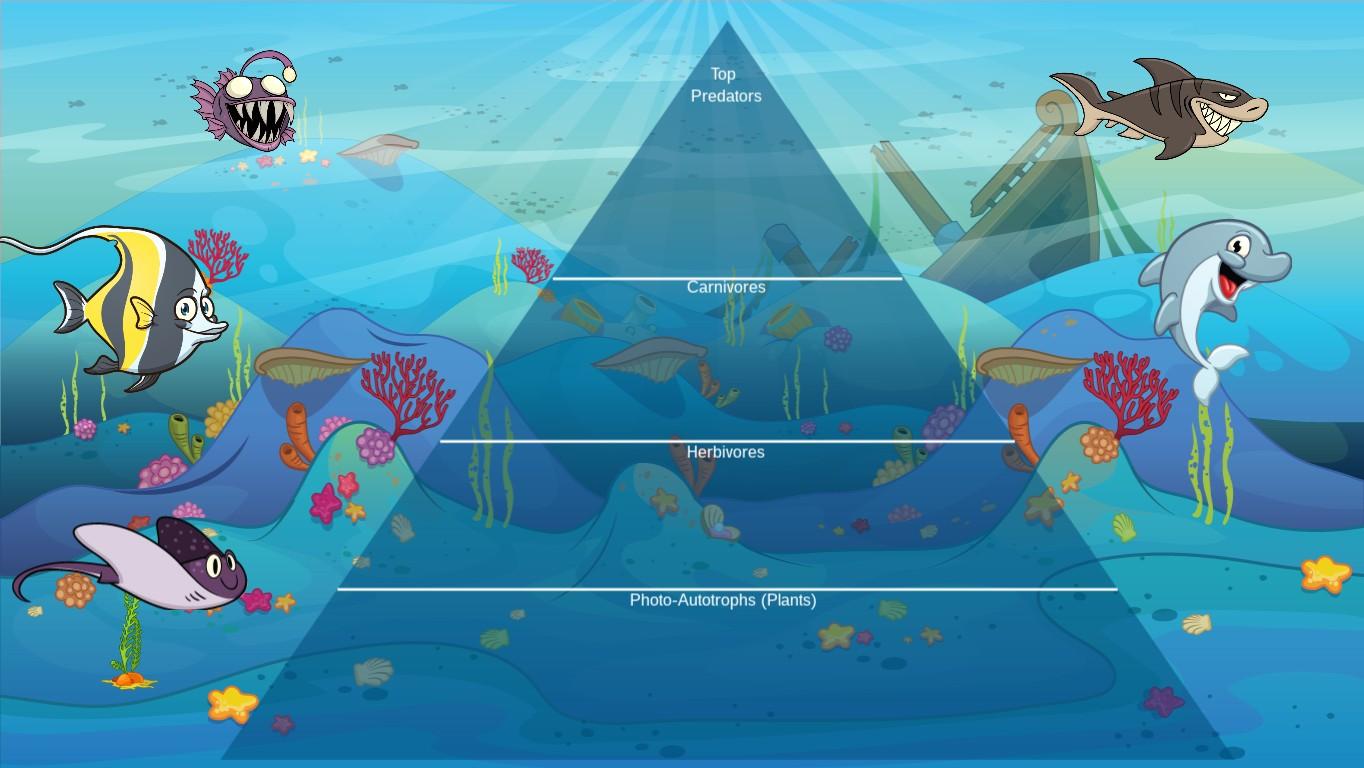 Ocean Ecological Pyramid