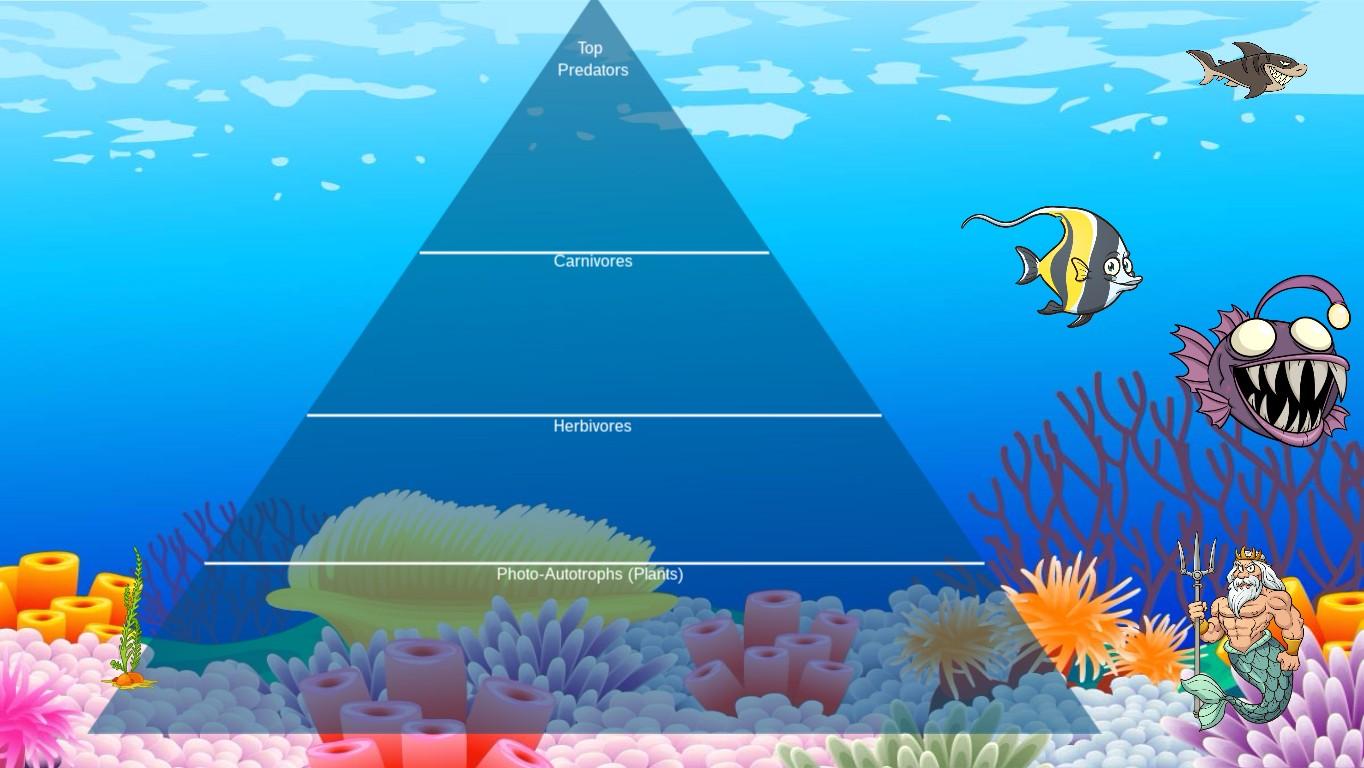 Ocean Ecological Pyramid