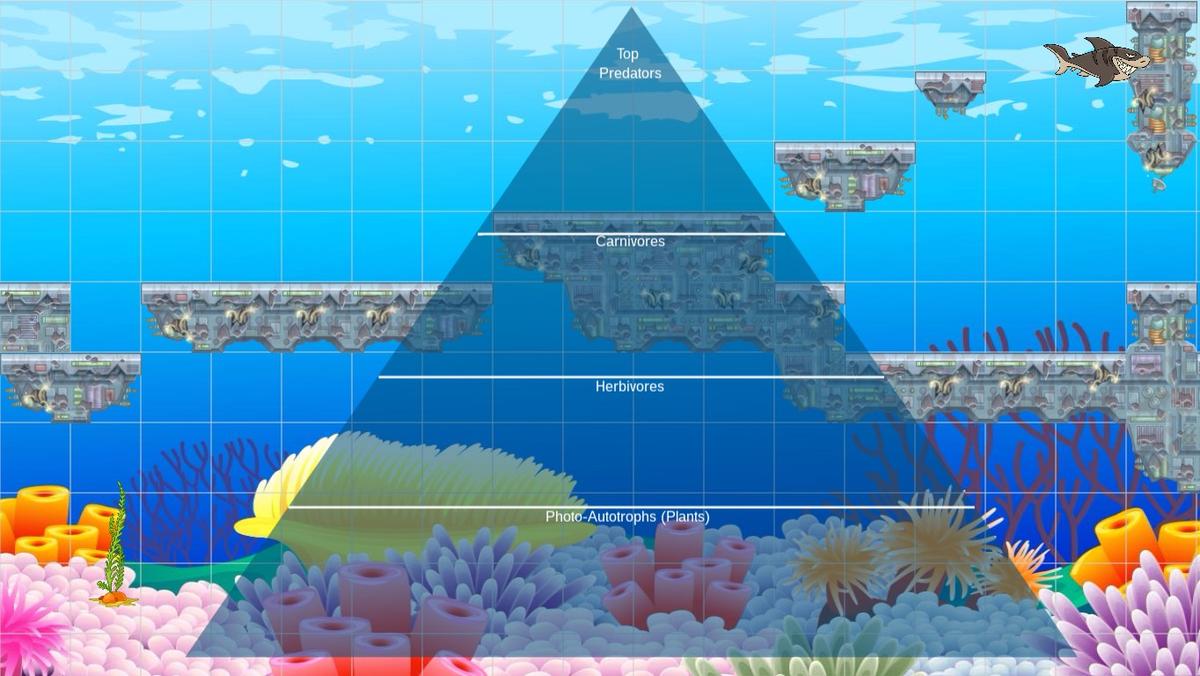 Ocean Ecological Pyramid