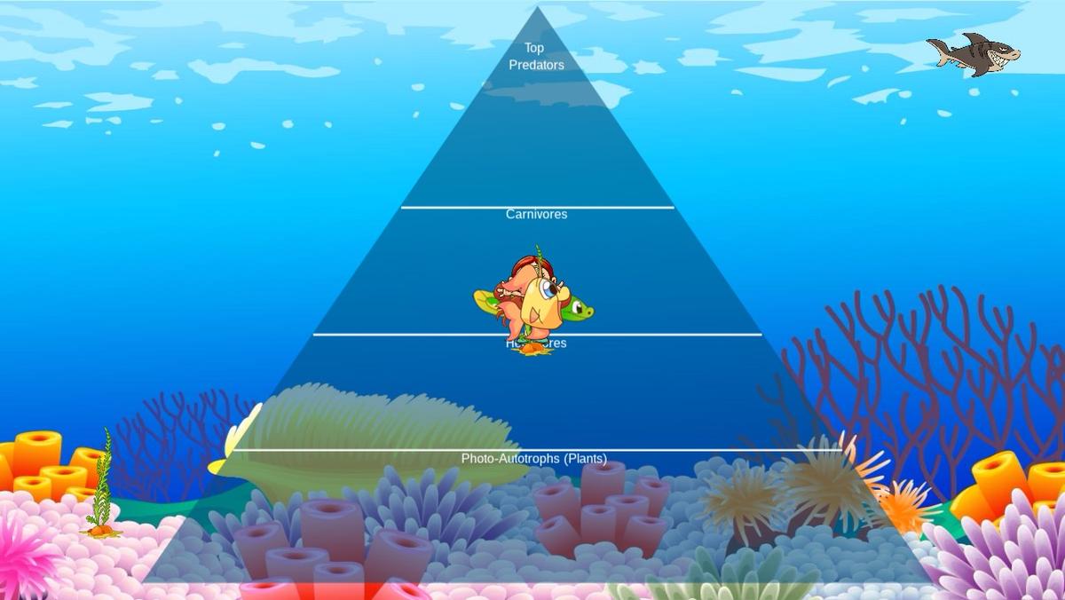 Ocean Ecological Pyramid