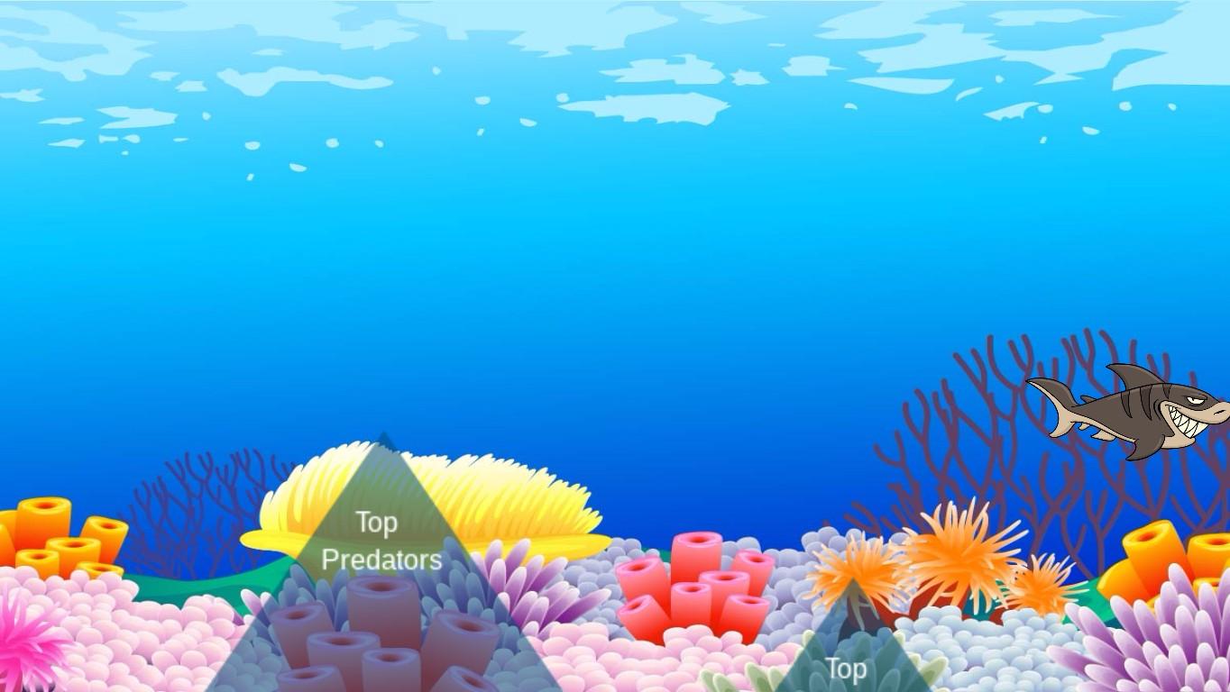 Ocean Ecological Pyramid