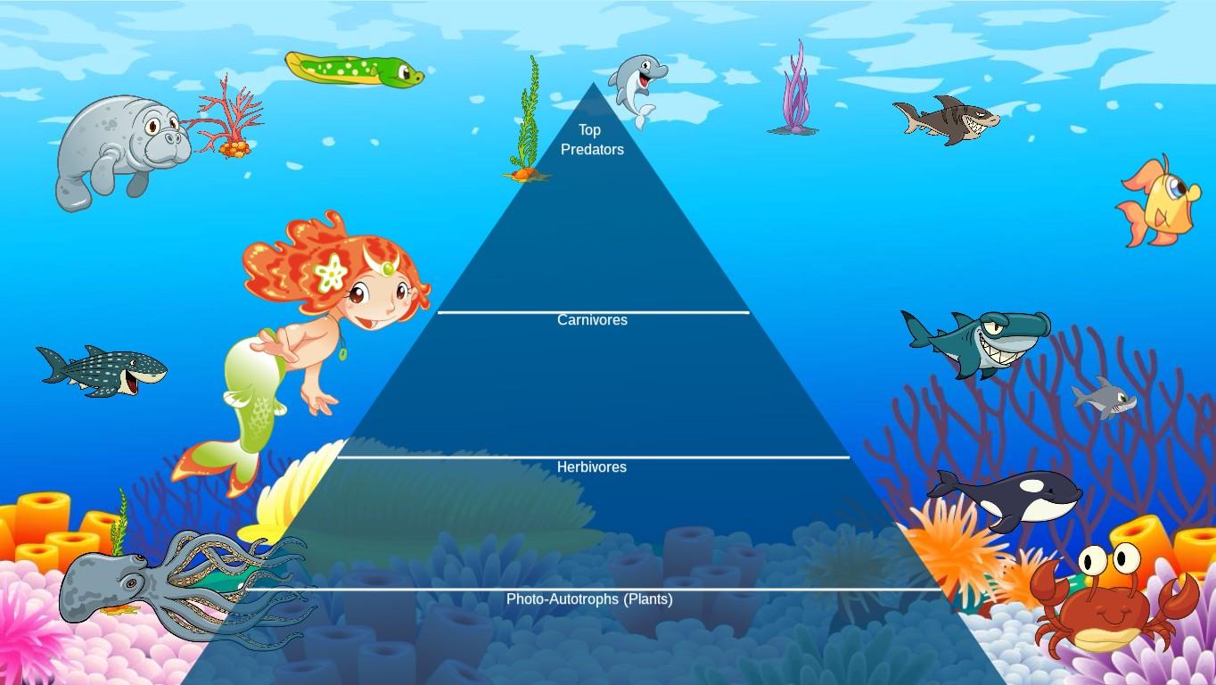 Ocean Ecological Pyramid