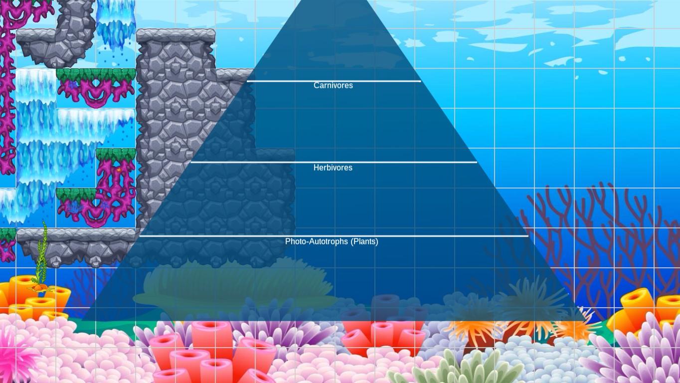 Ocean Ecological Pyramid