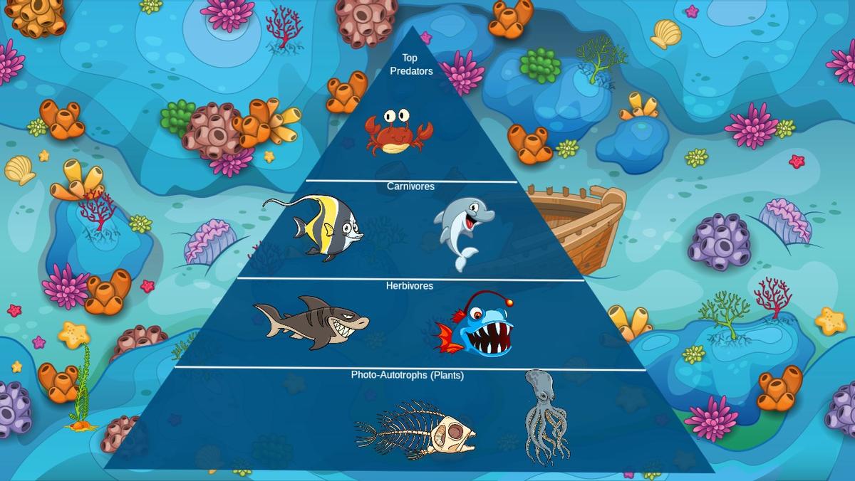 Ocean Ecological Pyramid