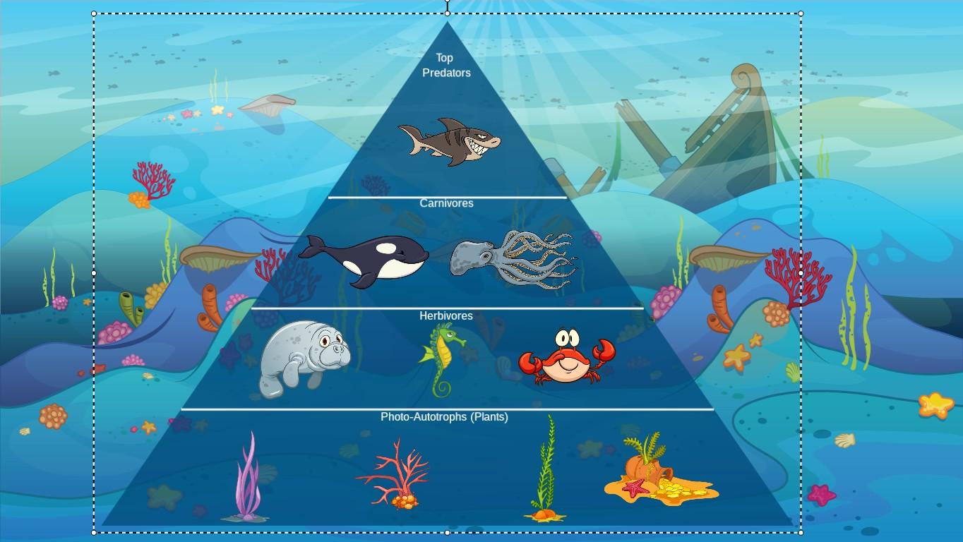 Ocean Ecological Pyramid